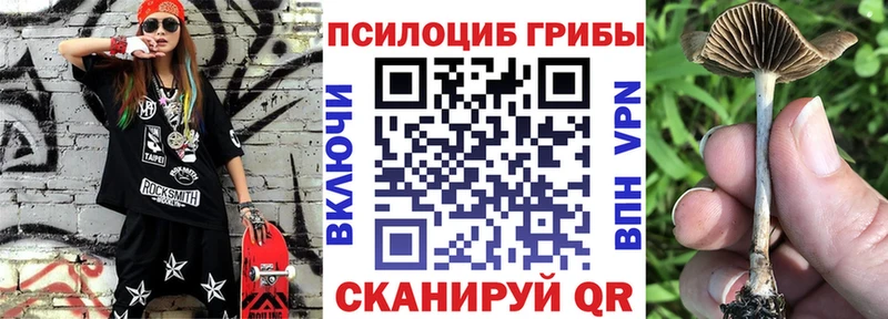 Галлюциногенные грибы мицелий  Курск 