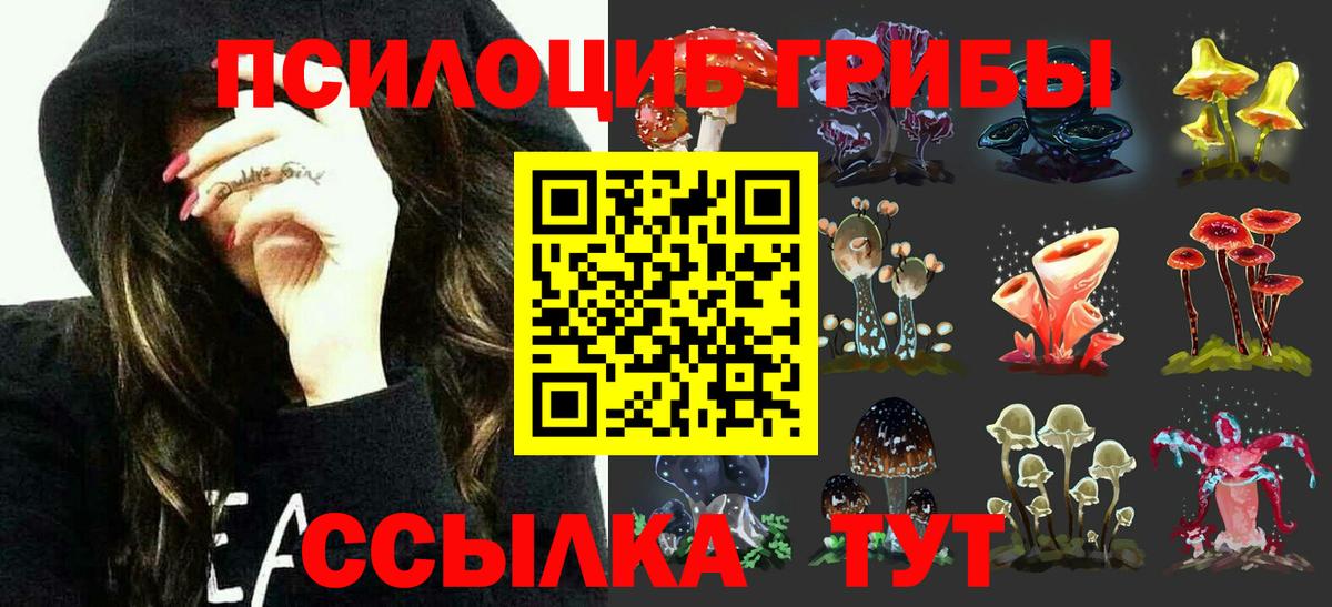 Курск  Галлюциногенные грибы мицелий  Вход с VPN 